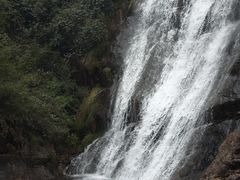 -大奇山国家森林公园