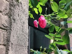 -半坡国际艺术区