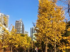 -北外滩滨江绿地