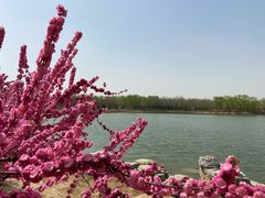 -大兴滨河森林公园