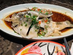 -新白鹿餐厅(金鹰新街口店)