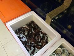 -喜来酌海鲜·饺子(和平一店)