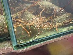-班赞海鲜市场