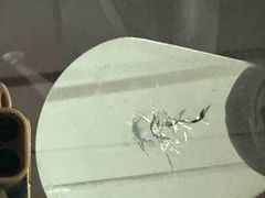 -鲨鱼皮汽车凹陷玻璃修复(静安店)