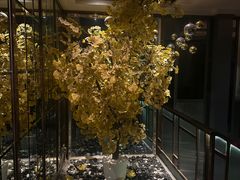 -丽晶大班SPA(大沽店)