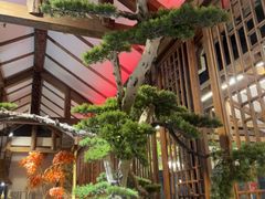 -黄泥岗·黄陂农家菜(百步亭店)