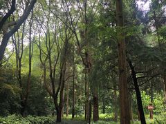 -上海怡沁园度假酒店
