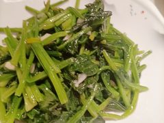 菠菜-春天里餐厅(西田城店)