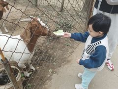 -草根堂农场