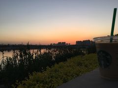 -灞河西岸滨河公园