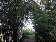 -望江楼公园