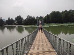 -东湖落雁景区