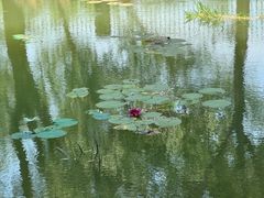 -大运河源头遗址公园