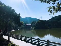 -广州市帽峰山景区
