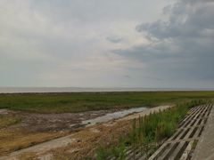 -南汇嘴观海公园