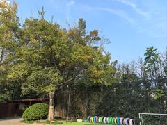 -玛利娅蒙特梭利双语幼儿园·托育(百家湖直营园)