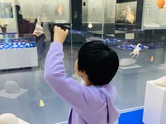 -贝壳王国博物馆