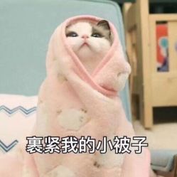 点击看大图 -艺之剪