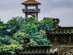 -张坝桂圆林公园