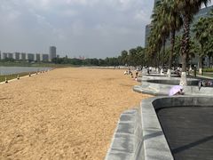 -金沙湖公园