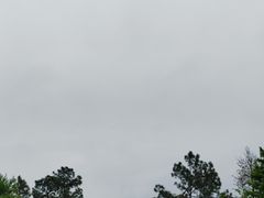 -黄陂区野村谷景区