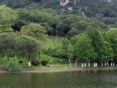 -厦门国家会计学院