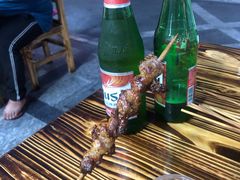 -民族烤羊·烤羊肉串·烤羊排(南城店)