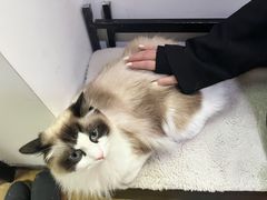 -零纪元VR体验馆·桌游(黄浦店)