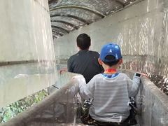 -秦岭终南山世界地质公园翠华山景区