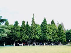 景点-瀛洲公园