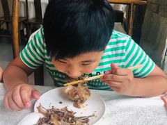 -食家鸽园