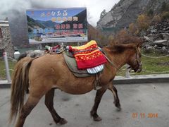-叠溪松坪沟景区