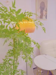 -变美丽半永久纹眉连锁·机器野生眉·洗眉