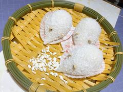 -点都德·毕德寮