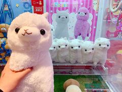 -LLJ夹机占(清河万象汇店)