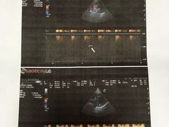 -申普宠物医院·心脏介入·心血管微创(总院)