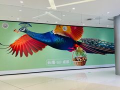 -首开·龙湖成都西宸天街