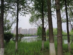 -洋湖国家湿地公园