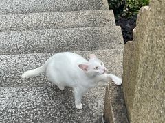 -晓港公园