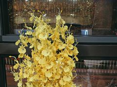 -全聚德(蓝山店)