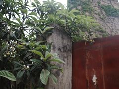 -亮佳鸿华二手市场