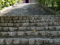 -云龙山