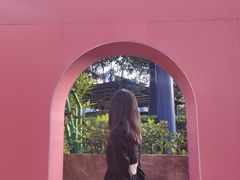 -杭州乐园