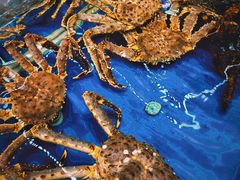 -盒马鲜生(龙德广场店)