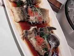 清蒸鲟鱼-盛京富丽园老菜馆·东北菜(和平南大街店)