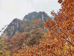 -大连天门山国家森林公园
