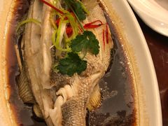 -好妈王饺子(滂江街店)
