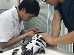 -美美宠物诊疗中心·异宠·骨科(滨江东信分院)