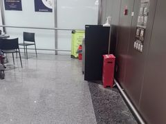 -麦当劳(北京大兴机场二层国内到达(安检外)店)