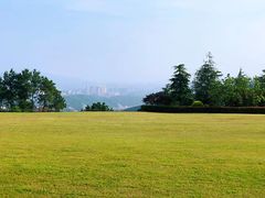 -铁山坪森林公园